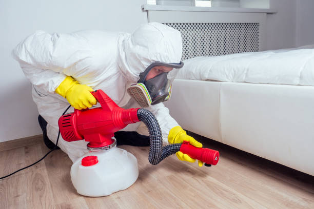 Real Estate Pest Inspections in Meadowbrook, CA